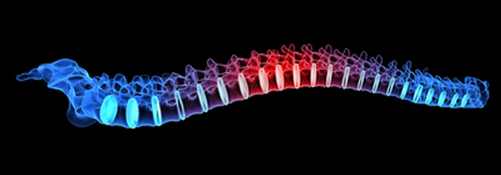 Chiropractic Mesa AZ Spine Chiropractic Mesa AZ Spine