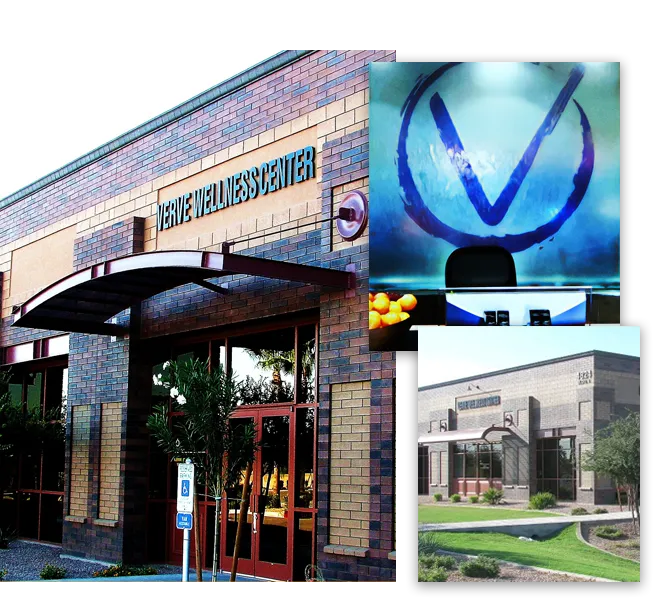 Chiropractic Mesa AZ Verve Wellness Center Office Chiropractic Mesa AZ Verve Wellness Center Office